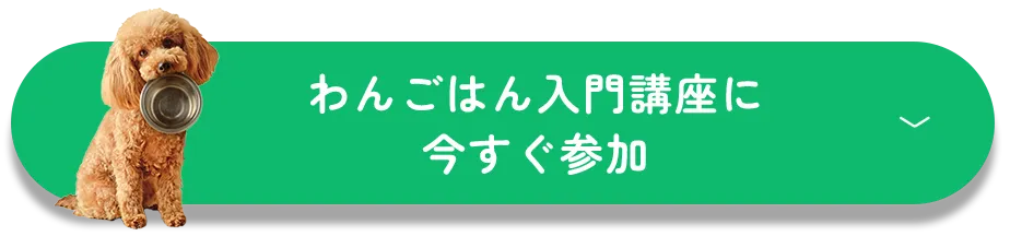 わんご飯入門講座に今すぐ参加"