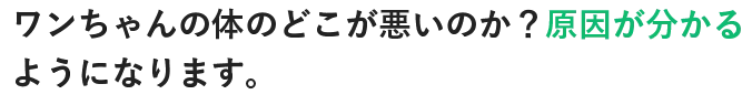 ワンちゃんの体のどこが悪いのか？原因が分かるようになります。