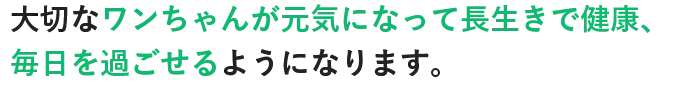 大切なワンちゃんが元気になって長生きで健康、毎日を過ごせるようになります。