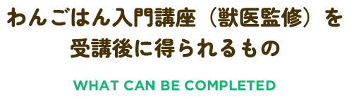 わんご飯入門講座（獣医監修）を受講後に得られるもの