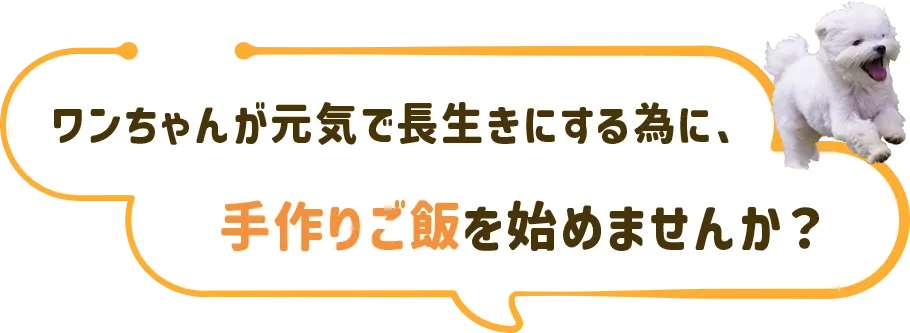 ワンちゃんが元気で長生きする為に、手作りご飯を始めませんか？