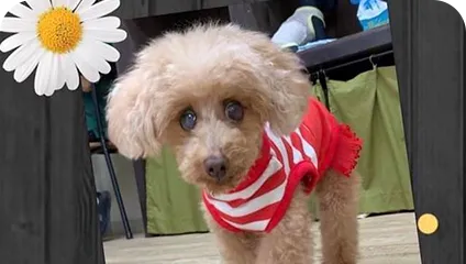 ご利用者様の声