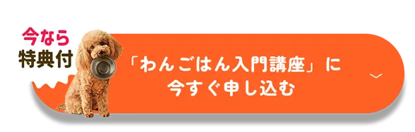 わんご飯入門講座に今すぐ申し込む