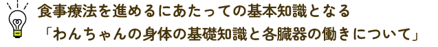 食事療法を進めるにあたっての基本知識となる「わんちゃんの身体の基礎知識と各臓器の働きについて」