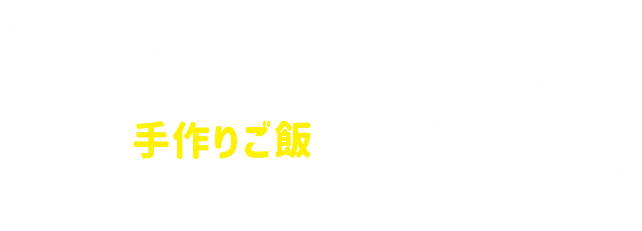 わんご飯入門講座