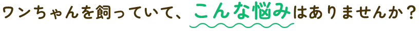ワンちゃんを飼っていて、こんな悩みはありませんか？