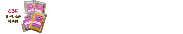さらにお申し込み特典付